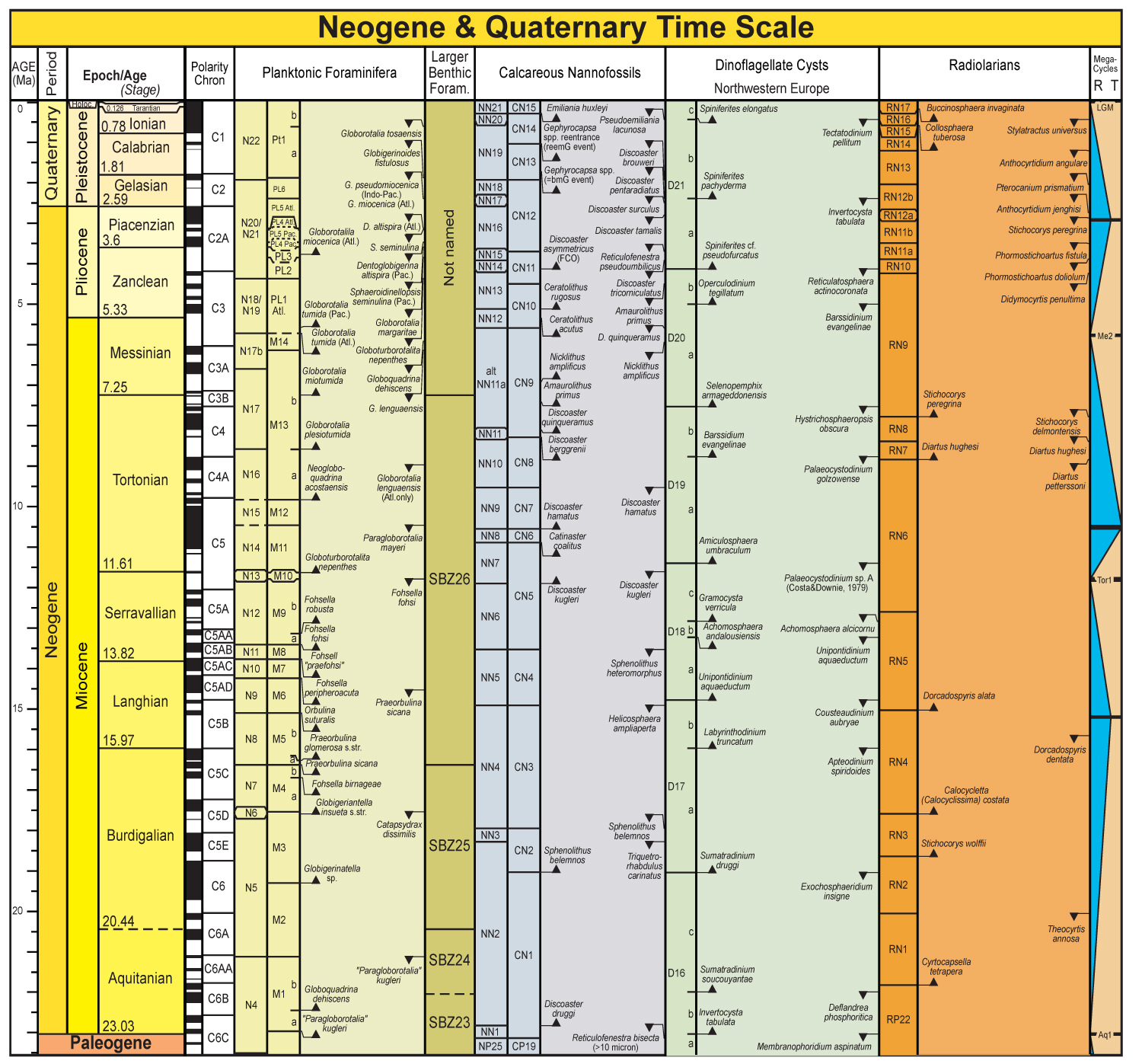 geological time scale summary pdf